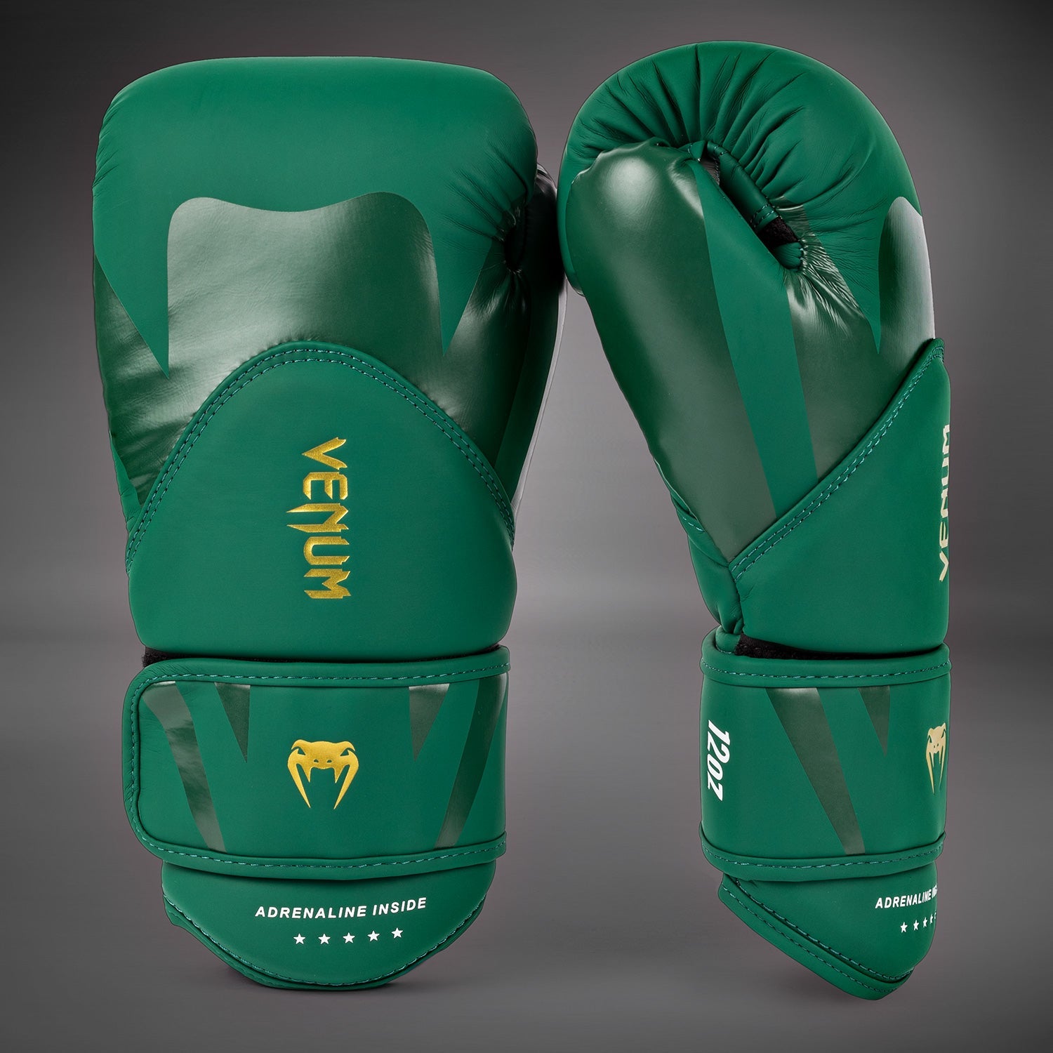 Gants de Boxe Venum Challenger 4.0 - Vert
