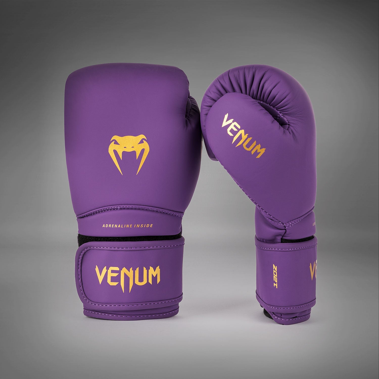 Gants de Boxe Venum Contender 1.5 - Violet Foncé
